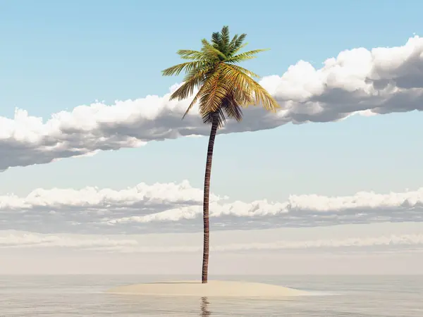 Island with palm tree in the open sea