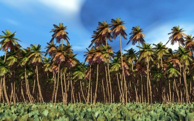 palmiye ağaçları ile tropikal peyzaj