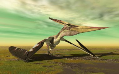 Pteranodon, pterozor bir arazide yürüyor.