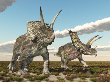 Dinozor Pentaceratops bir arazide