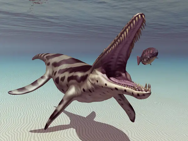 stock image Pliosaur Kronosaurus on the hunt