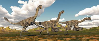 Theropod dinozoru Citipati bir arazide