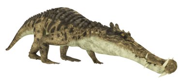 Tarih öncesi timsah Kaprosuchus beyaz arka planda izole edildi