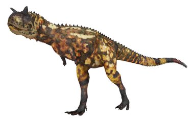 Dinozor Carnotaurus beyaz arkaplanda izole edildi
