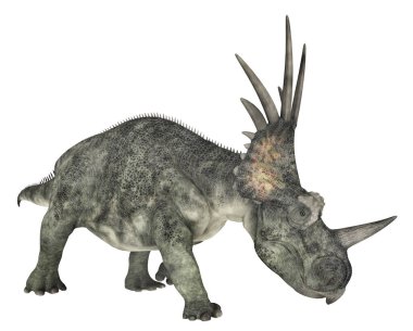 Dinozor Styracosaurus beyaz arkaplanda izole edildi