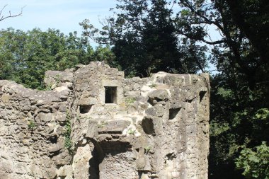 Siebengebirge 'deki (Almanya) Drachenfels şatosu harabeleri)