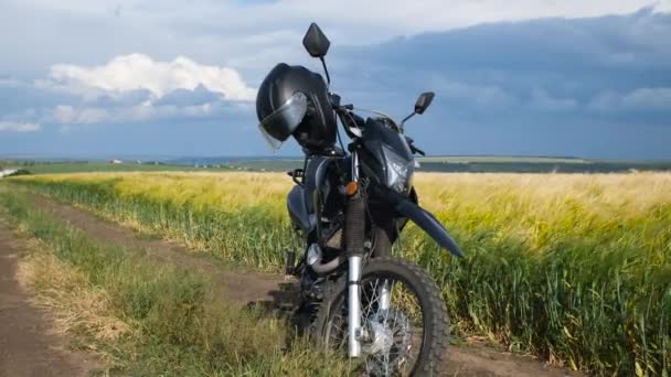 Una Moto Sulla Strada Rurale Fronte Campo Agricolo Grano Dorato — Video Stock