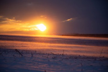 Tarım tarlalarının üzerinde kasvetli, esmer bir gündoğumu sırasında kar tozu tarlaya yayılır.