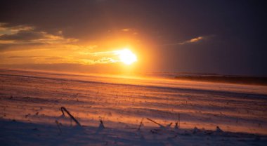 Tarım tarlalarının üzerinde kasvetli, esmer bir gündoğumu sırasında kar tozu tarlaya yayılır.