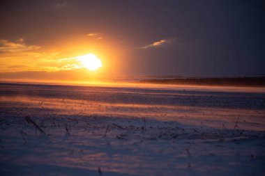 Tarım tarlalarının üzerinde kasvetli, esmer bir gündoğumu sırasında kar tozu tarlaya yayılır.
