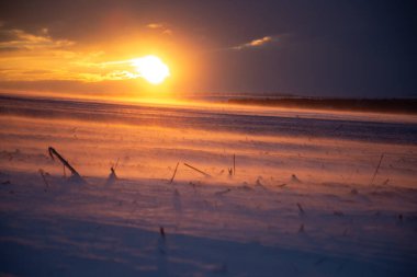 Tarım tarlalarının üzerinde kasvetli, esmer bir gündoğumu sırasında kar tozu tarlaya yayılır.