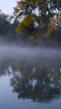 Şafak vakti nehrin üzerinde buharlaşma hareketi sisli bir nehrin kıyısındaki orman.