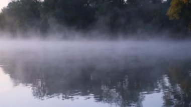 Şafak vakti nehrin üzerinde buharlaşma hareketi sisli bir nehrin kıyısındaki orman.