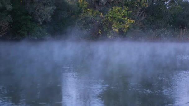 Movimiento Evaporación Sobre Río Amanecer Bosque Orilla Río Brumoso Vídeos De Stock Sin Royalties Gratis