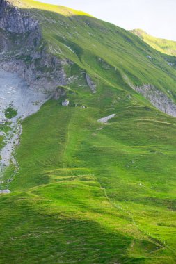 Çimenli yeşil yamaçlardaki çitler. çiftlik kavramı