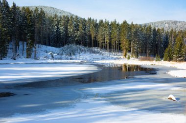 Kar ve orman arasında kısmen buzlu göl