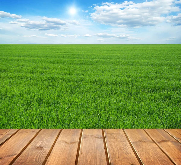 Grüne Wiese Unter Blauem Himmel Holzdielen — Stockfoto