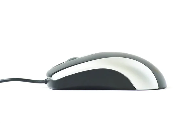 Mouse Del Computer Isolato Uno Sfondo Bianco — Foto Stock