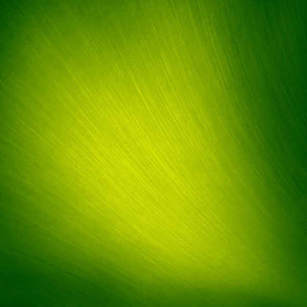 抽象的な緑の背景を閉じます — ストック写真