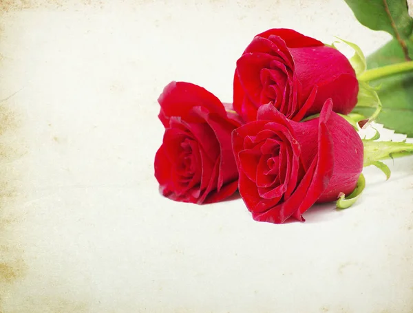 ヴィンテージ背景に赤いバラ — ストック写真