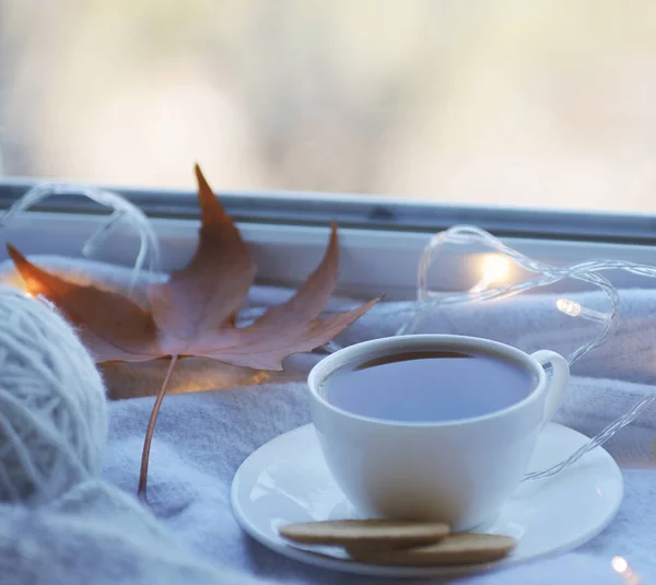 Cozy Winter Still Life Mug Hot Tea Book Warm Plaid — Stock Photo, Image