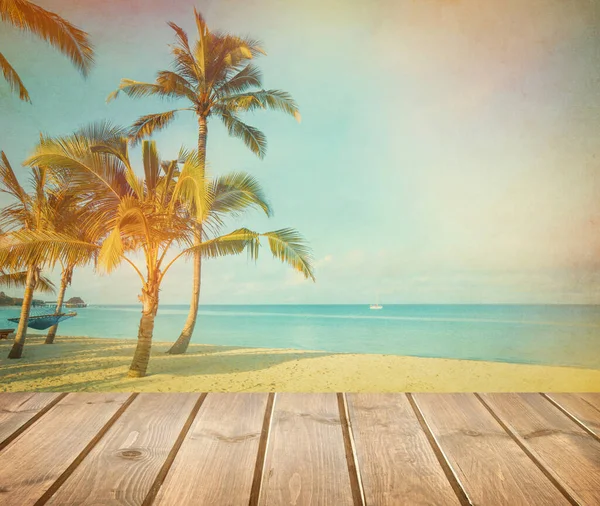 Coconut Tree Sky Background Retro Styled Picture — Stock Photo, Image