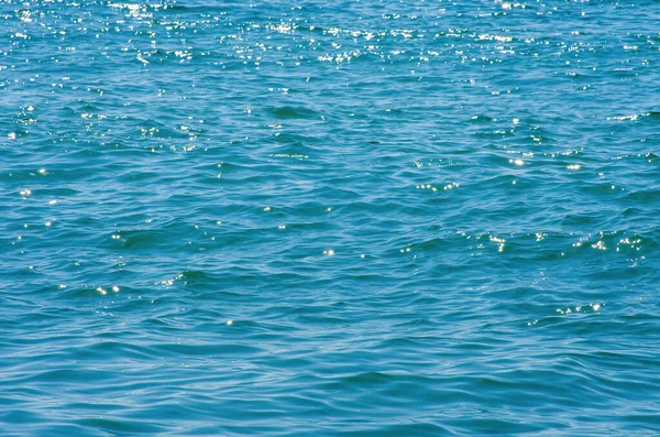바닷물의 — 스톡 사진