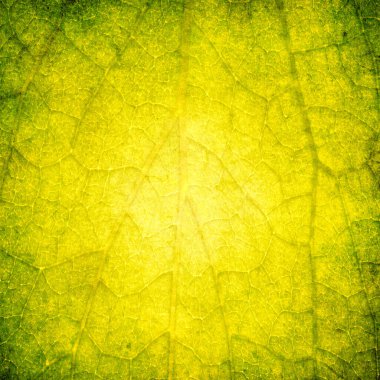 Kaba sıkıntılı yaşlı dokulu arka plan