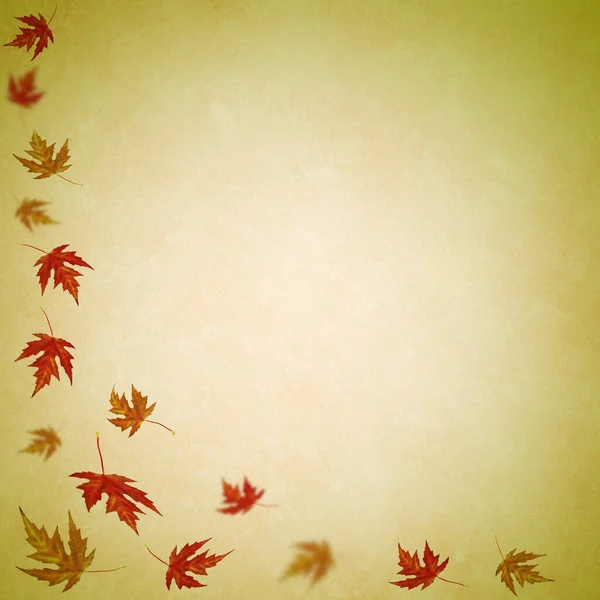 Herbst Hintergrund Nahaufnahme Tapete — Stockfoto