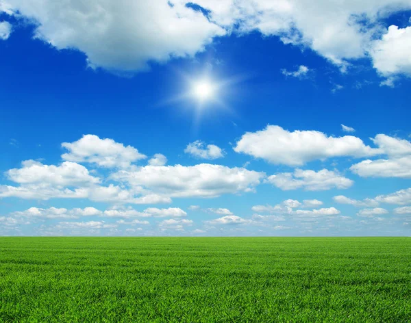 Groen Veld Blauwe Lucht Zon — Stockfoto
