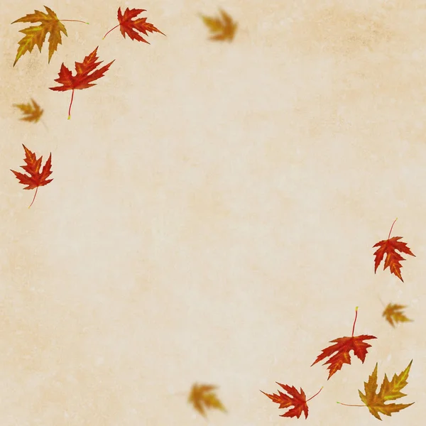Autumn Background Colored Leaves — Stock Photo, Image