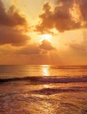 plaj ve tropikal deniz