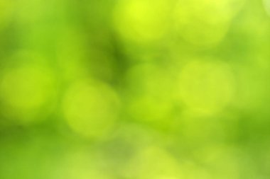 yeşil bokeh arka plan, yeşil bokeh, yeşil bokeh soyut