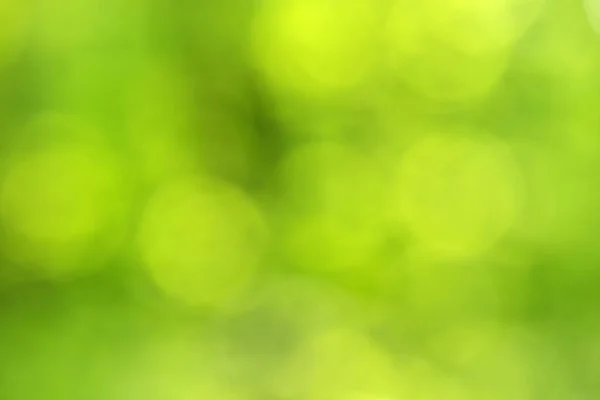 緑のボケ背景 緑のボケ 緑のボケ抽象 — ストック写真