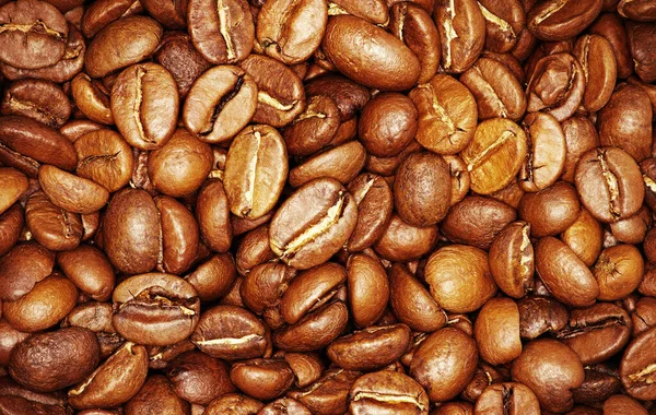 コーヒーの穀物からの茶色の背景 — ストック写真