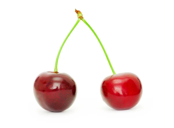 Sweet Cherry Isolated White — Stock Photo, Image