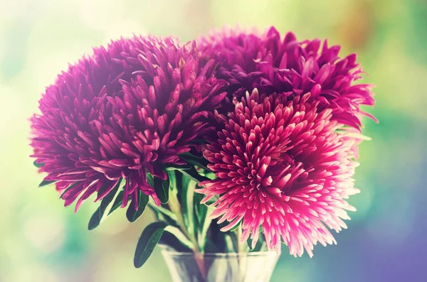 Bukett Blommor Grön Bakgrund — Stockfoto