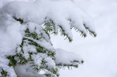 Kışın karda çeki düzen vermek