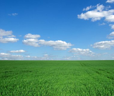 Mavi gökyüzünün altında yeşil alan