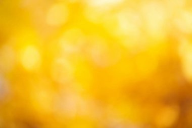 bulanık sonbahar arka plan