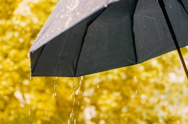 Şemsiye ve yağmur damlaları yakın çekim