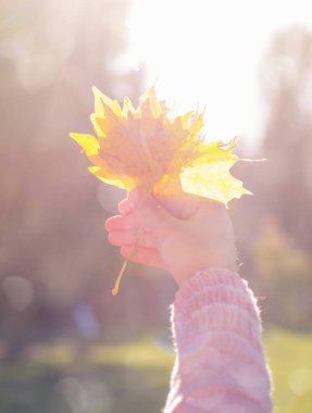 Yaprak tutan kadınlar