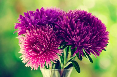  buket çiçek yeşil zemin üzerine