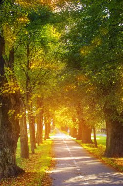 Yapraklar düşer ve sonbahar parça kapak gibi ağaçları ile kaplı bisiklet yolu