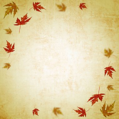 sonbahar yaprakları arkaplan, doku
