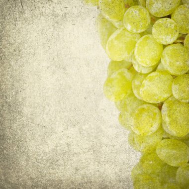 Geçmiş arkaplanda izole üzümler