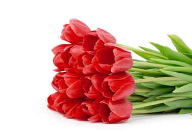 gelen Lale çiçek buketi beyaz izole