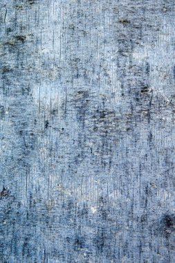 metin veya resim için alanı olan grunge arkaplanı