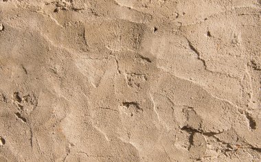 Klasik yaz çiçekleri, sanat