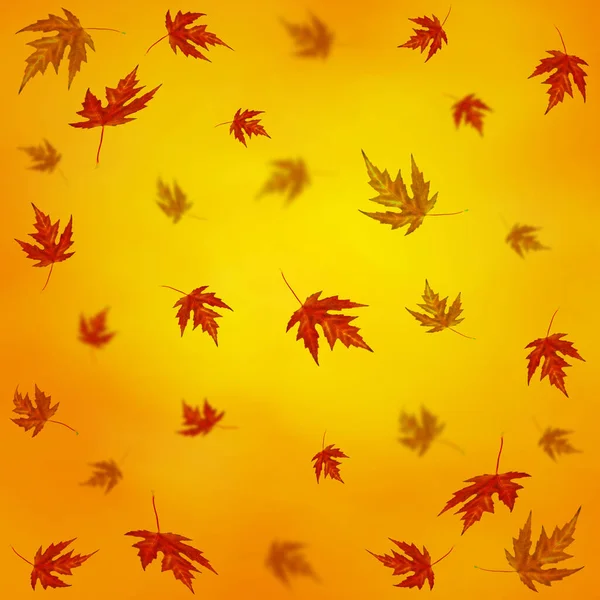 秋の紅葉の風合い ロイヤリティフリーのストック画像
